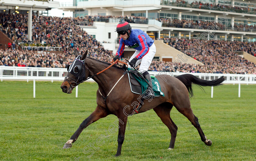 Beware-The-Bear-0007 
 BEWARE THE BEAR (Jeremiah McGrath) wins The Join The BetBright Racing Club Handicap Chase
Cheltenham 1 Jan 2019 - Pic Steven Cargill / Racingfotos.com