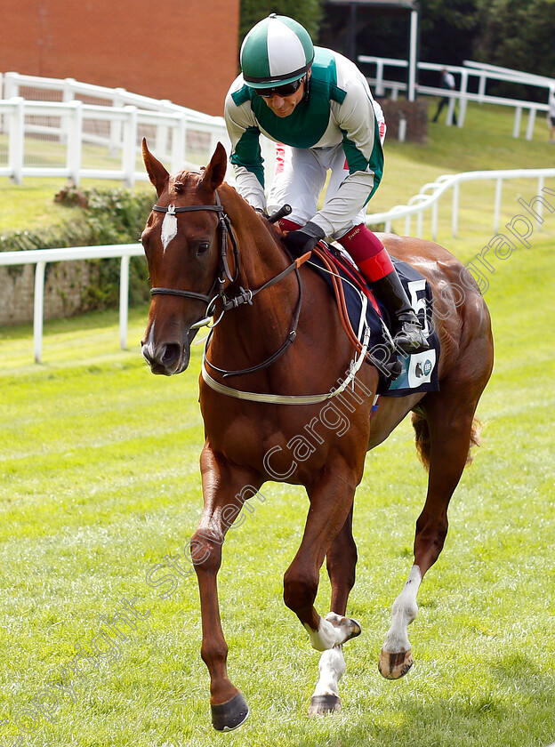 Walk-In-Marrakesh-0001 
 WALK IN MARRAKESH (Frankie Dettori) before winning The British Stallion Studs EBF Star Stakes
Sandown 25 Jul 2019 - Pic Steven Cargill / Racingfotos.com