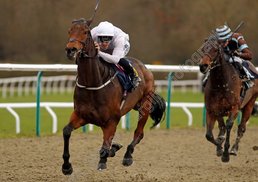 One-Night-Stand-0002 
 ONE NIGHT STAND (Phil Dennis) wins The BetUk It's Where The UK Bets Handicap
Lingfield 23 Dec 2023 - Pic Steven Cargill / Racingfotos.com