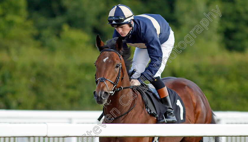 Indian-Dream 
 INDIAN DREAM (Dylan Hogan)
Chelmsford 7 Jun 2022 - Pic Steven Cargill / Racingfotos.com