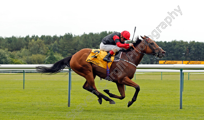 Artistic-Rifles-0005 
 ARTISTIC RIFLES (Andrea Atzeni) wins The Betfair Double Daily Rewards Superior Mile 
Haydock 4 Sep 2021 - Pic Steven Cargill / Racingfotos.com