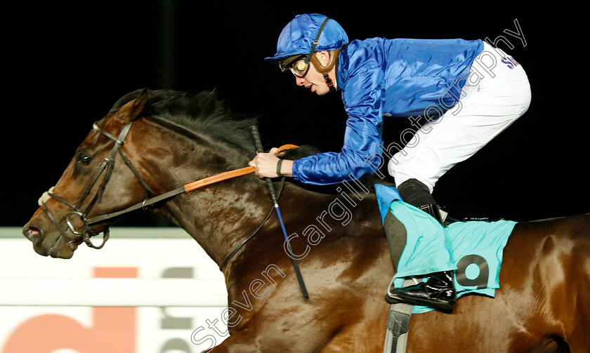 Zakouski-0007 
 ZAKOUSKI (James Doyle) wins The 32Red Casino ebfstallions.com Novice Stakes Div1
Kempton 21 Nov 2018 - Pic Steven Cargill / Racingfotos.com