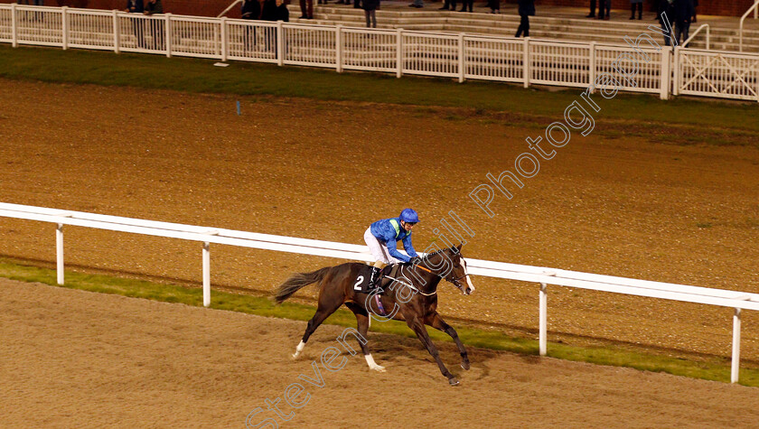 Bavardages-0003 
 BAVARDAGES (Joe Fanning) wins The Bet totequadpot At totesport.com Nursery
Chelmsford 19 Nov 2019 - Pic Steven Cargill / Racingfotos.com