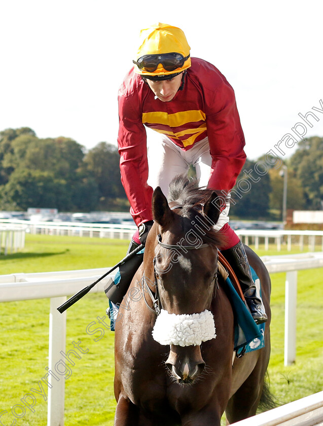 Tropical-Storm-0005 
 TROPICAL STORM (Oisin Murphy) winner of The Julia Graves Roses Stakes
York 24 Aug 2024 - Pic Steven Cargill / Racingfotos.com