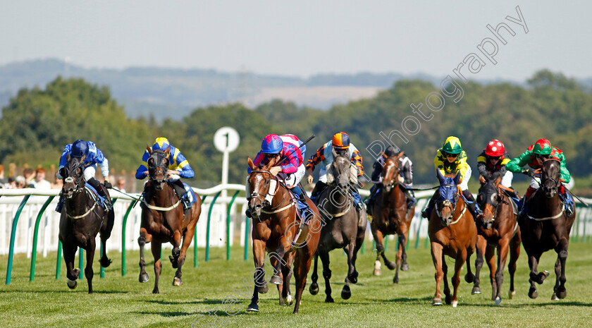 Sly-Madam-0003 
 SLY MADAM (William Carver) wins The M J Church Handicap
Salisbury 11 Aug 2022 - Pic Steven Cargill / Racingfotos.com