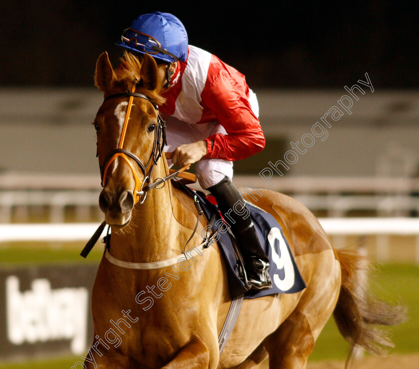 Regal-Ambition-0001 
 REGAL AMBITION (Martin Harley)
Wolverhampton 10 Dec 2018 - Pic Steven Cargill / Racingfotos.com