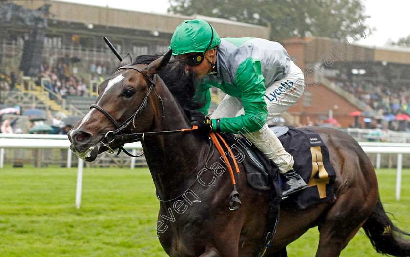 Out-Of-Shadows-0001 
 OUT OF SHADOWS (Benoit de la Sayette) wins The Ian Angry Anderson 50th Birthday Celebration Handicap
Newmarket 5 Aug 2023 - Pic Steven Cargill / Racingfotos.com