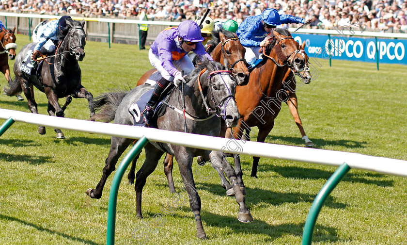 Grey-Britain-0002 
 GREY BRITAIN (Gerald Mosse) wins The Qatar Racing Handicap Newmarket 6 May 2018 - Pic Steven Cargill / Racingfotos.com