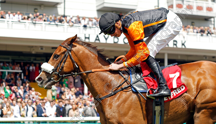 Raasel-0007 
 RAASEL (James Doyle) wins The Betfred Nifty Fifty Achilles Stakes
Haydock 28 May 2022 - Pic Steven Cargill / Racingfotos.com