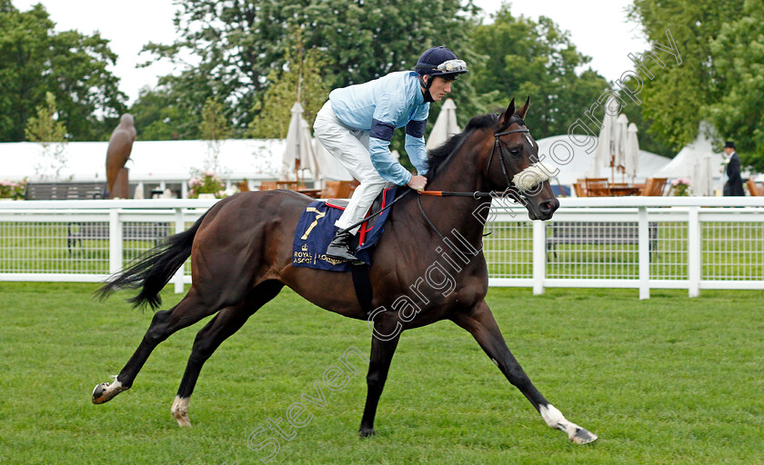 Title-0003 
 TITLE (David Egan)
Royal Ascot 18 Jun 2021 - Pic Steven Cargill / Racingfotos.com