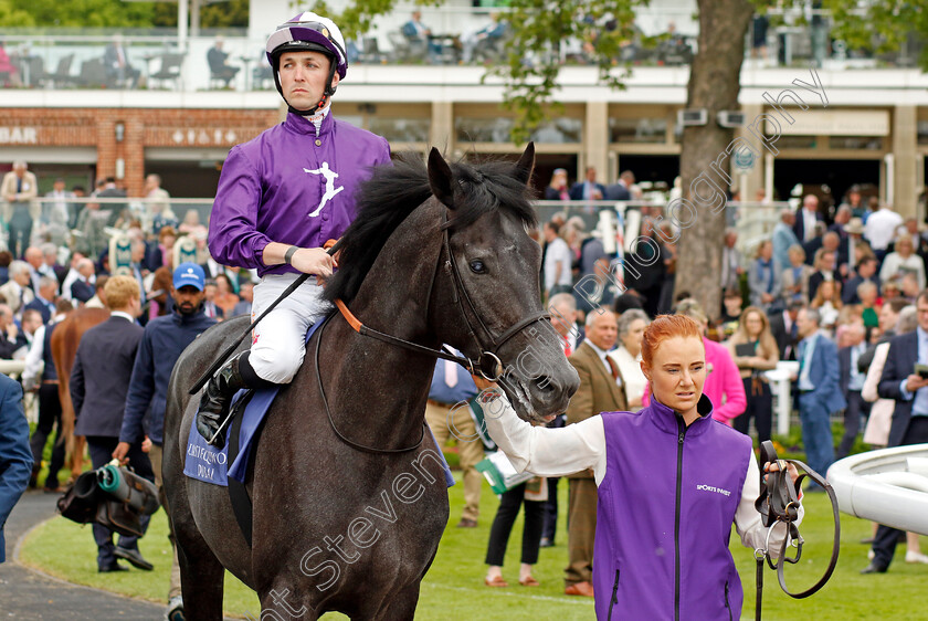 King-Of-Steel-0001 
 KING OF STEEL (Kevin Stott)
York 18 May 2023 - Pic Steven Cargill / Racingfotos.com