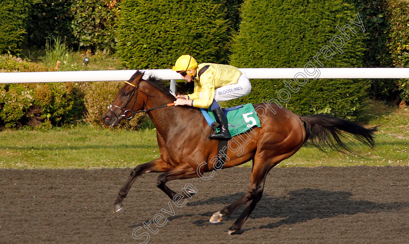 Motawaj-0005 
 MOTAWAJ (David Egan) wins The 32Red Casino Handicap Div1
Kempton 10 Jul 2019 - Pic Steven Cargill / Racingfotos.com