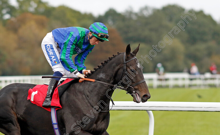 Lady-Caro-0002 
 LADY CARO (David Probert)
Kempton 2 Oct 2024 - pic Steven Cargill / Racingfotos.com