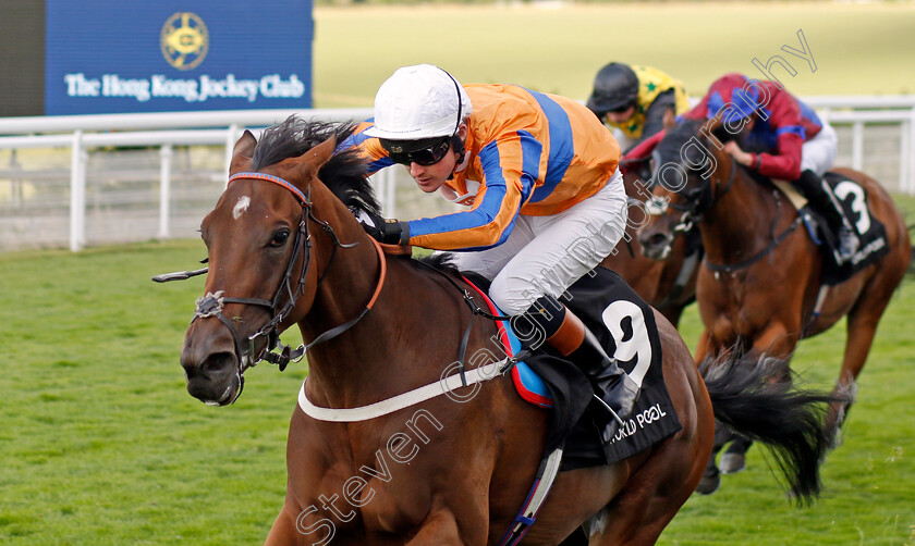 Adaay-In-Asia-0004 
 ADAAY IN ASIA (Dylan Hogan) wins The World Pool EBF Fillies Handicap
Goodwood 26 Jul 2022 - Pic Steven Cargill / Racingfotos.com