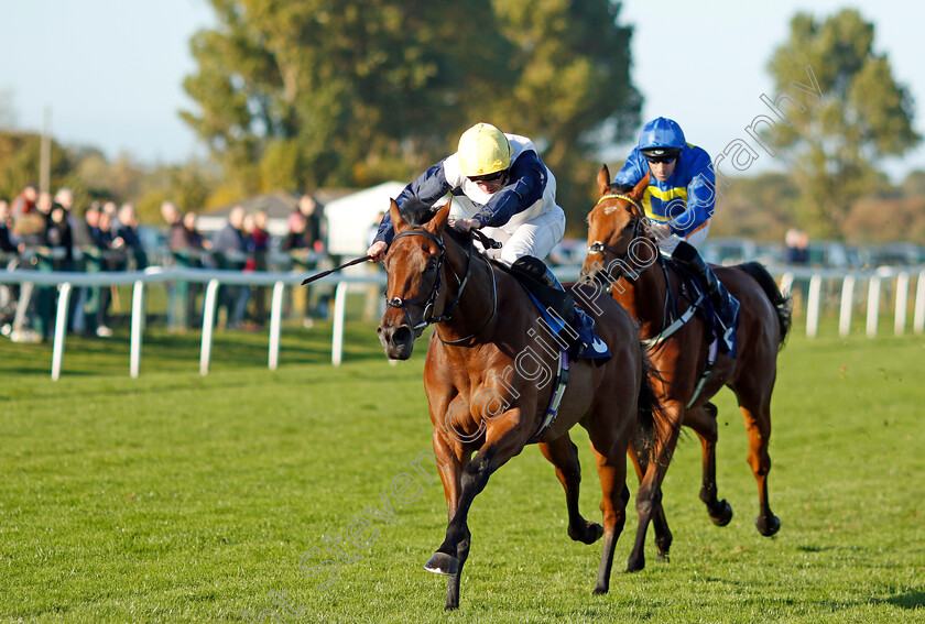 At-Liberty-0003 
 AT LIBERTY (Ryan Moore) wins The Cazoo Search Drive Smile Handicap
Yarmouth 18 Oct 2022 - Pic Steven Cargill / Racingfotos.com