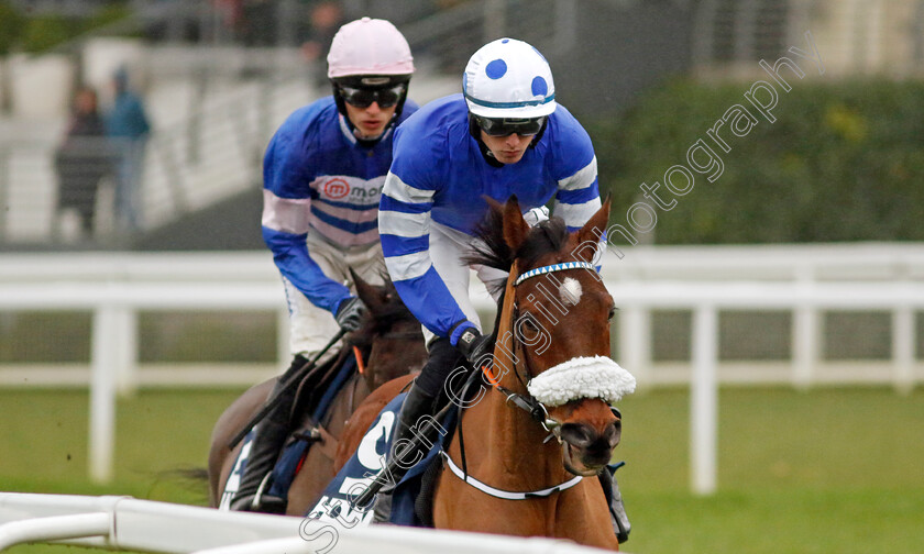 Eagle-Fang-0001 
 EAGLE FANG (Oakley Brown)
Ascot 21 Dec 2024 - Pic Steven Cargill / Racingfotos.com