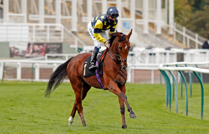 Horsefly-0001 
 HORSEFLY (Kieran Shoemark)
Nottingham 14 Oct 2020 - Pic Steven Cargill / Racingfotos.com