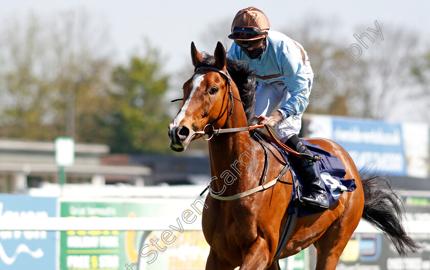 Dereham-0005 
 DEREHAM (Thore Hammer Hansen) winner of The Quinnbet 25% Back As A Free Bet Handicap Div2
Yarmouth 19 May 2021 - Pic Steven Cargill / Racingfotos.com