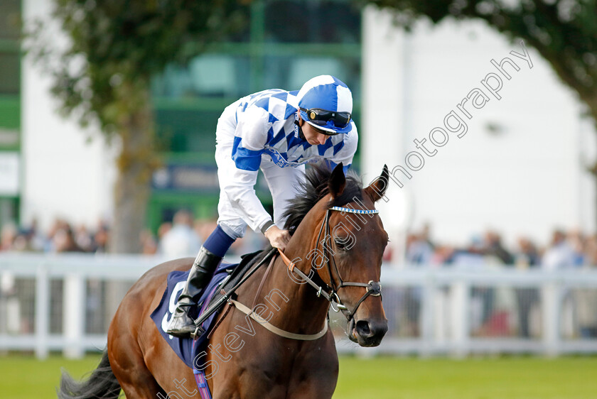 Arazzo-0001 
 ARAZZO (Hector Crouch)
Yarmouth 17 Sep 2024 - Pic Steven Cargill / Racingfotos.com