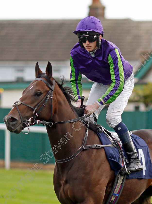 Upper-Hand-0001 
 UPPER HAND (Darragh Keenan)
Yarmouth 16 Oct 2023 - Pic Steven Cargill / Racingfotos.com