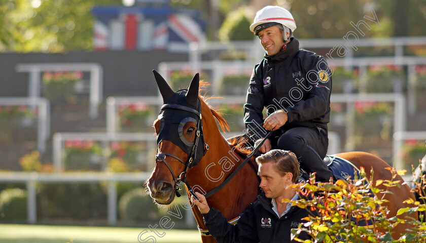 Nature-Strip-0007 
 NATURE STRIP - Australia to Ascot, preparing for the Royal Meeting.
Ascot 10 Jun 2022 - Pic Steven Cargill / Racingfotos.com