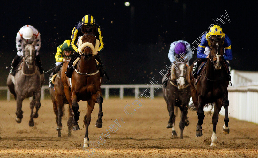 Zoffany-Bay-0005 
 ZOFFANY BAY (left, Kieran O'Neill) beats FINTECH (right) in The Bet toteWIN At betfred.com Handicap Chelmsford 7 Dec 2017 - Pic Steven Cargill / Racingfotos.com