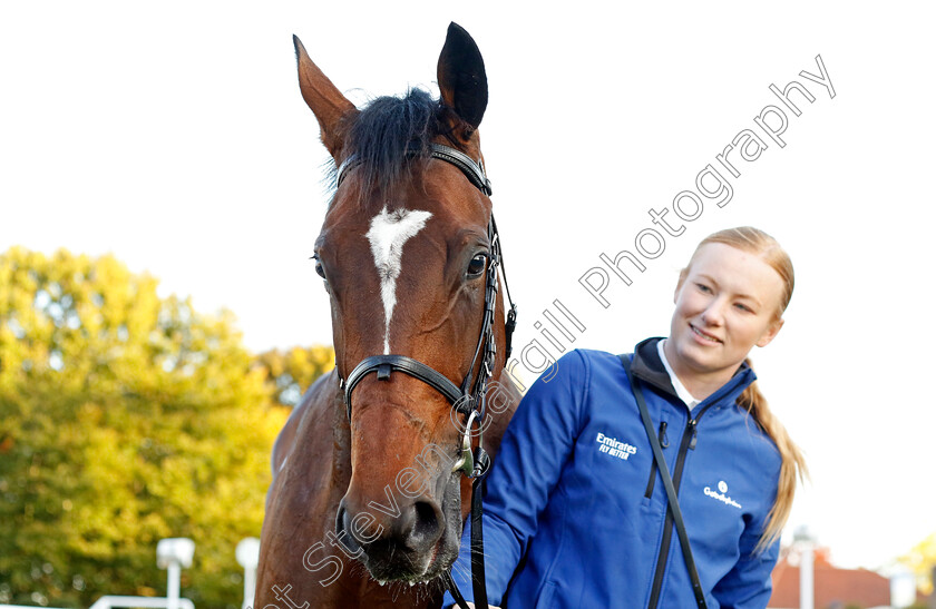 Military-Order-0010 
 MILITARY ORDER winner of The British Stallion Studs EBF Future Stayers Novice Stakes
Newmarket 19 Oct 2022 - Pic Steven Cargill / Racingfotos.com