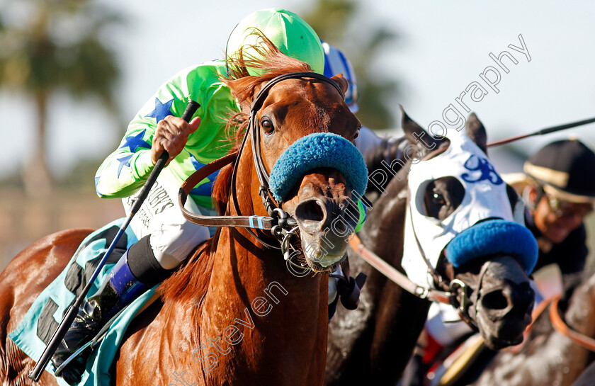 He-Will-0001 
 HE WILL (Mike Smith) wins The Lure Stakes, Del Mar USA 2 Nov 2017 - Pic Steven Cargill / Racingfotos.com