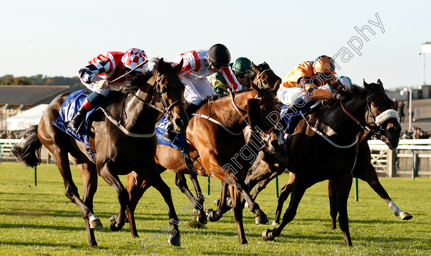 Jazeel-0002 
 JAZEEL (left, David Egan) beats LITTLE JO (centre) and EVERYTHING FOR YOU (right) in The Shadwell Farm Handicap
Newmarket 28 Sep 2018 - Pic Steven Cargill / Racingfotos.com