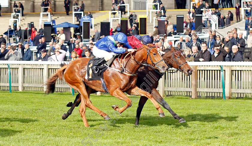 Canterbury-Bell-0003 
 CANTERBURY BELL (farside, Tom Marquand) beats SILVER KITTEN (nearside) in The Discover Newmarket Fillies Restricted Novice Stakes Div1
Newmarket 20 Oct 2021 - Pic Steven Cargill / Racingfotos.com