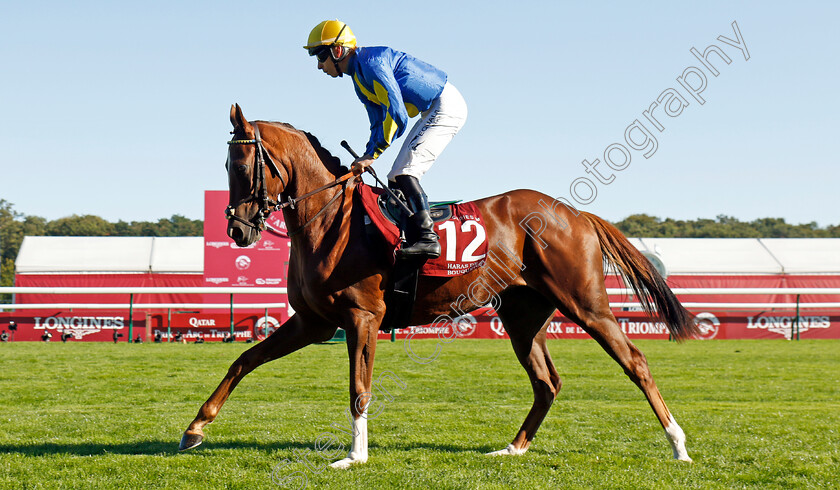 Marooned-0001 
 MAROONED (Eddy Hardouin)
Longchamp 5 Oct 2024 - Pic Steven Cargill / Racingfotos.com