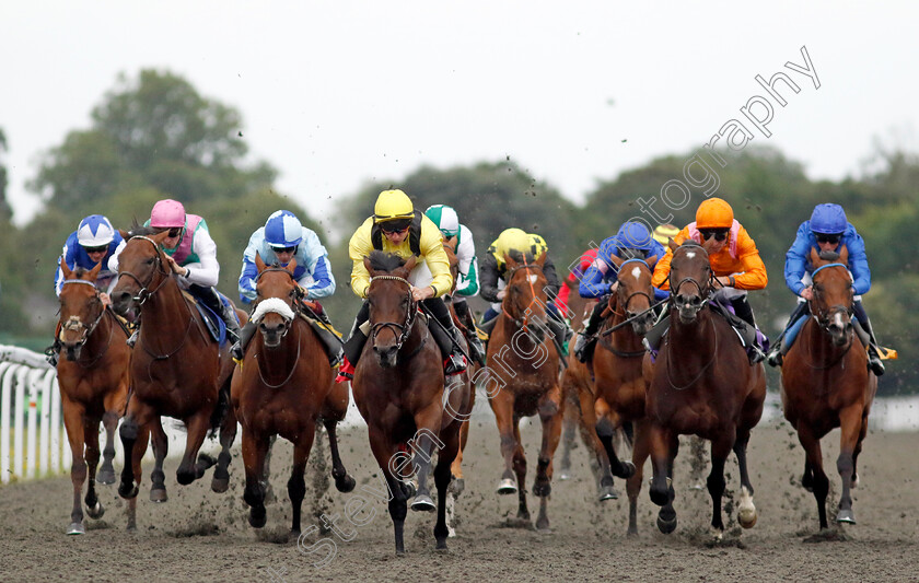 Yaroogh-0004 
 YAROOGH (Tom Marquand) wins The Unibet British Stallion Studs EBF Novice Stakes
Kempton 7 Aug 2024 - Pic Steven Cargill / Racingfotos.com