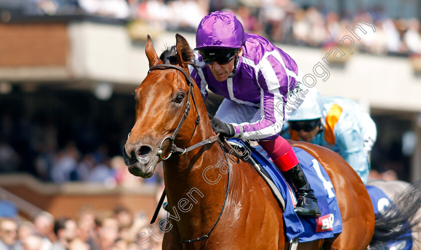 Little-Big-Bear-0001 
 LITTLE BIG BEAR (Frankie Dettori) wins The Betfred Nifty Fifty Sandy Lane Stakes
Haydock 27 May 2023 - pic Steven Cargill / Racingfotos.com