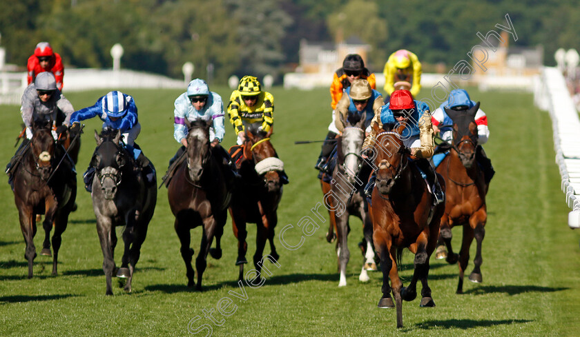 English-Oak-0005 
 ENGLISH OAK (James Doyle) wins The Buckingham Palace Stakes
Royal Ascot 20 Jun 2024 - Pic Steven Cargill / Racingfotos.com