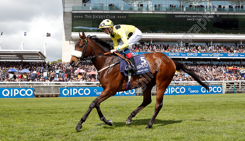 Emaraaty-Ana-0001 
 EMARAATY ANA (David Egan)
Newmarket 4 May 2019 - Pic Steven Cargill / Racingfotos.com