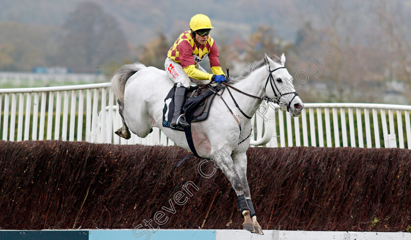 Ramses-De-Teillee-0002 
 RAMSES DE TEILLEE (Tom Scudamore)
Cheltenham 16 Nov 2019 - Pic Steven Cargill / Racingfotos.com