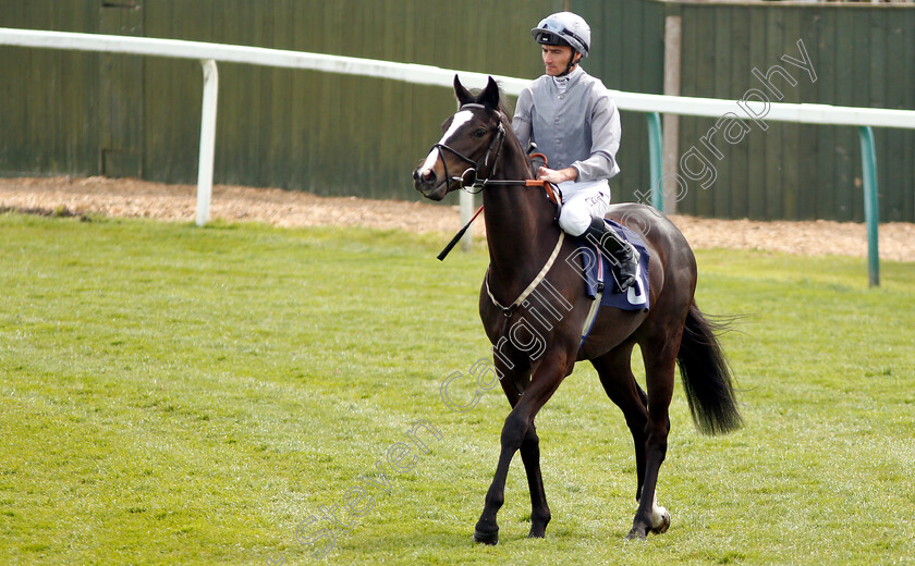 Endless-Joy-0001 
 ENDLESS JOY (Daniel Tudhope)
Yarmouth 23 Apr 2019 - Pic Steven Cargill / Racingfotos.com