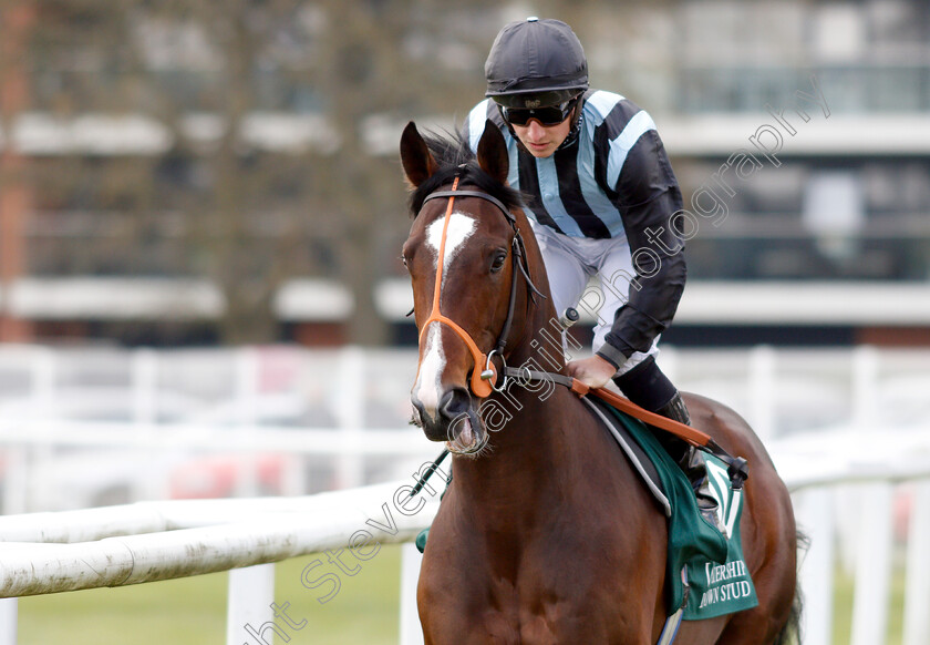 Urban-Icon-0001 
 URBAN ICON (Tom Marquand)
Newbury 13 Apr 2019 - Pic Steven Cargill / Racingfotos.com