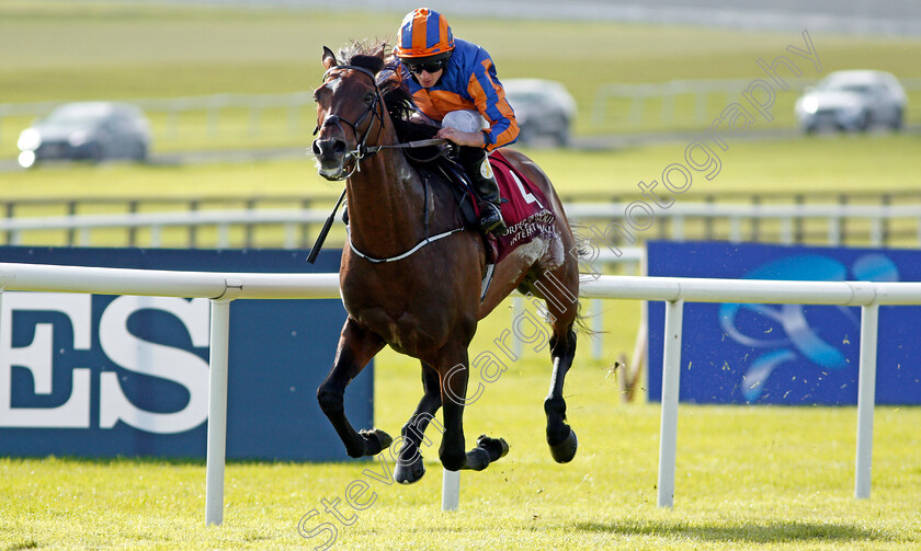 Order-Of-St-George-0007 
 ORDER OF ST GEORGE (Ryan Moore) wins The Comer Group International Irish St Leger Curragh 10 Sep 2017 - Pic Steven Cargill / Racingfotos.com