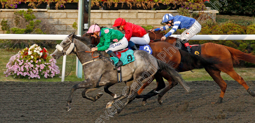 Makambe-0005 
 MAKAMBE (Joey Haynes) wins The Matchbook 2% Commission Handicap
Kempton 3 Sep 2019 - Pic Steven Cargill / Racingfotos.com