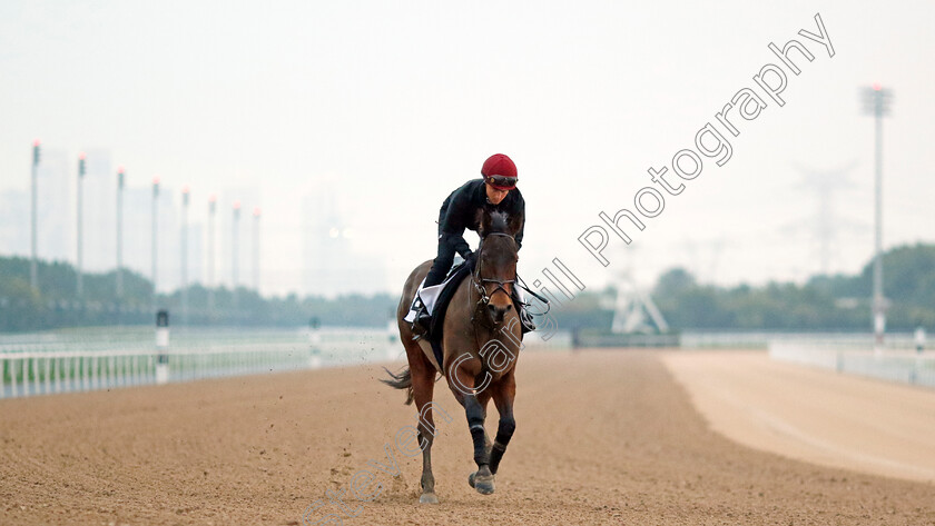 Emaraaty-Ana-0003 
 EMARAATY ANA training at the Dubai Racing Carnival
Meydan 1 Feb 2024 - Pic Steven Cargill / Racingfotos.com