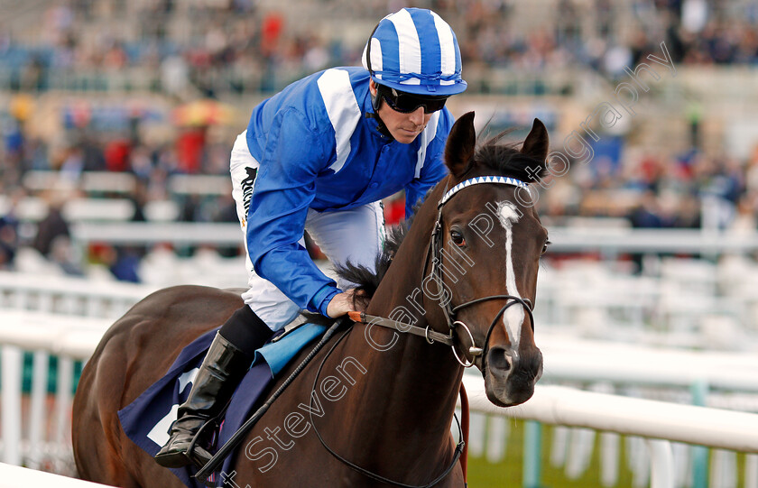 Shabaaby-0001 
 SHABAABY (Jim Crowley) winner of The Irish Stallion Farms EBF Stakes Doncaster 13 Sep 2017 - Pic Steven Cargill / Racingfotos.com