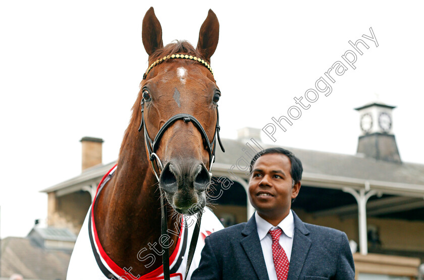 Addeybb-0006 
 ADDEYBB after The 32Red Lincoln Handicap Doncaster 24 Mar 2018 - Pic Steven Cargill / Racingfotos.com