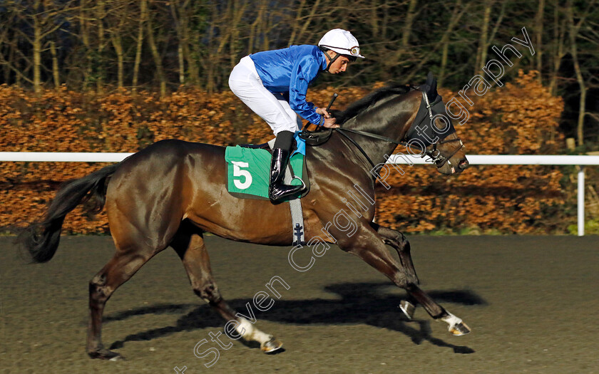 Native-Approach-0005 
 NATIVE APPROACH (William Buick) winner of The Unibet More Extra Place Races Maiden Stakes Div1
Kempton 14 Feb 2024 - Pic Steven Cargill / Racingfotos.com