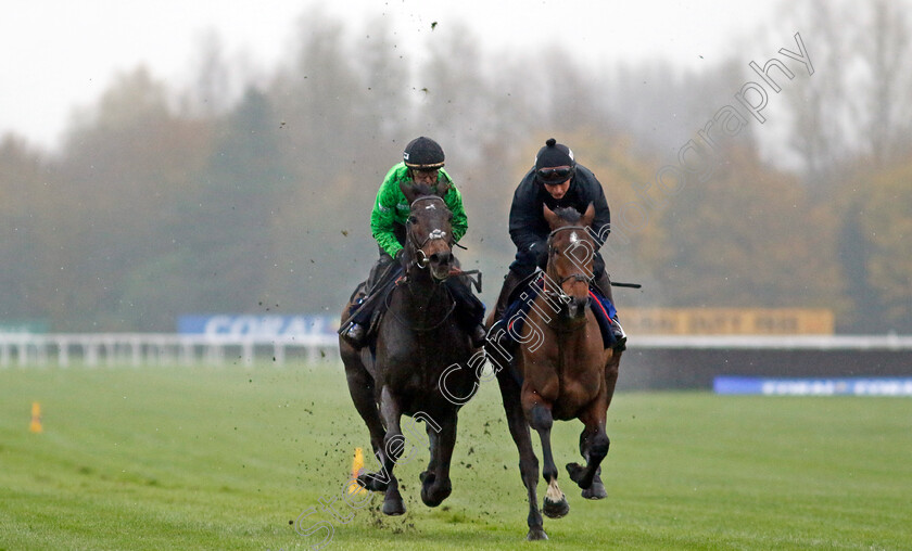 Constitution-Hill-and-Sir-Gino-0004 
 CONSTITUTION HILL (left, Nico de Boinville) with SIR GINO (right, James Bowen)
Coral Gold Cup gallops morning Newbury 19 Nov 20234 - Pic Steven Cargill / Racingfotos.com