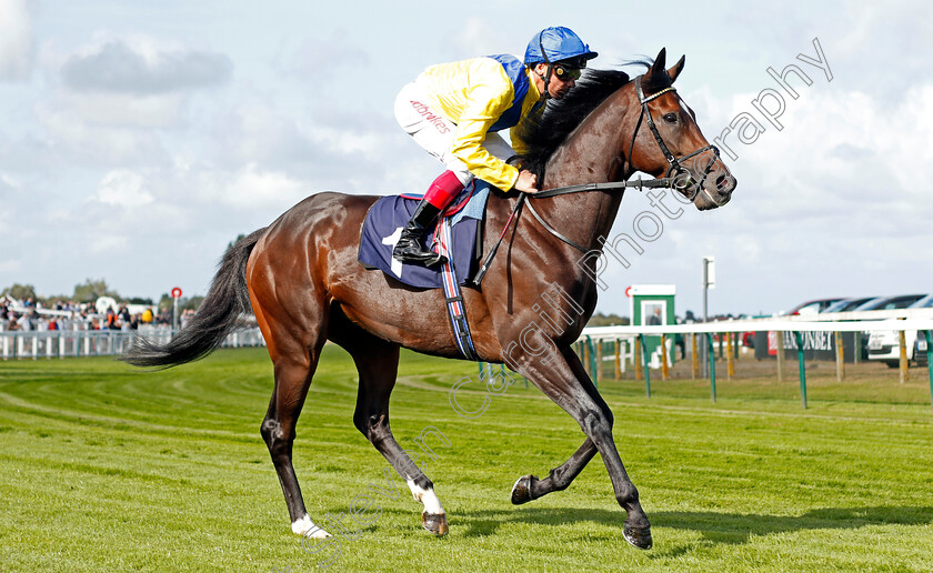 El-Misk-0001 
 EL MISK (Frankie Dettori)
Yarmouth 17 Sep 2019 - Pic Steven Cargill / Racingfotos.com