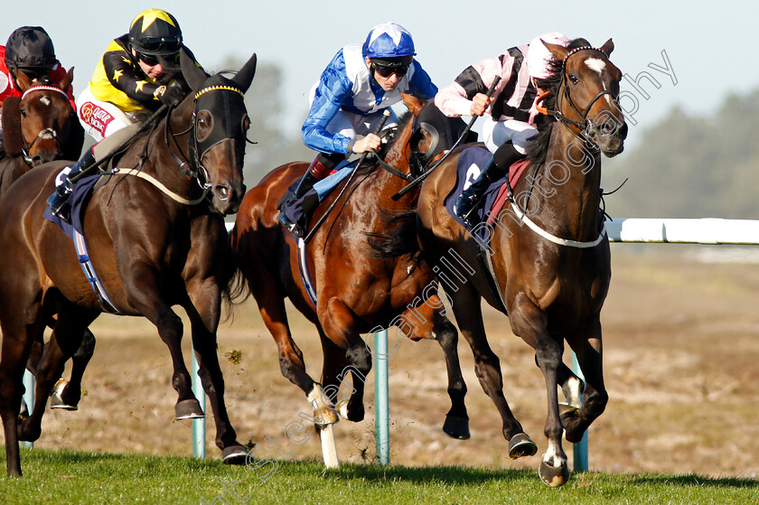 The-Corporal-0001 
 THE CORPORAL (right, William Buick) with PACTOLUS (left)
Yarmouth 19 Sep 2019 - Pic Steven Cargill / Racingfotos.com