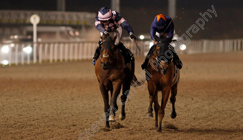 Dark-Pine-0003 
 DARK PINE (left, Rossa Ryan) beats ARIJ (right) in The chelmsfordcityracecourse.com Handicap
Chelmsford 14 Jan 2021 - Pic Steven Cargill / Racingfotos.com