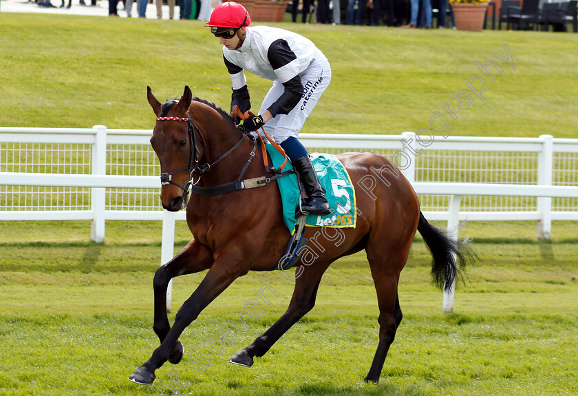 Loch-Ness-Monster-0001 
 LOCH NESS MONSTER (Alistair Rawlinson)
Sandown 26 Apr 2019 - Pic Steven Cargill / Racingfotos.com