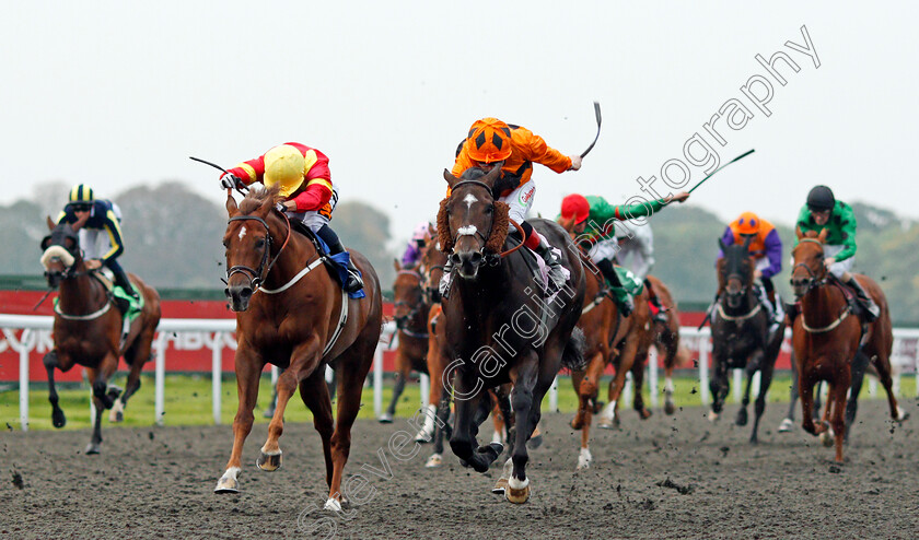 Evening-Hill-0003 
 EVENING HILL (right, Shane Kelly) beats PEACE AND PLENTY (left) in The Matchbook Betting Exchange Handicap Kempton 25 Sep 2017 - Pic Steven Cargill / Racingfotos.com